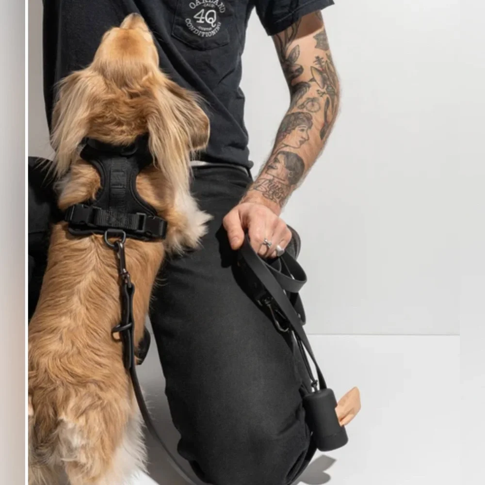 Wild One Dog Harness 3.0 - XS - Black